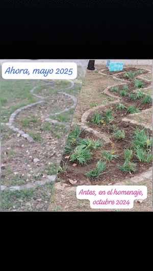 Imagen Noticia